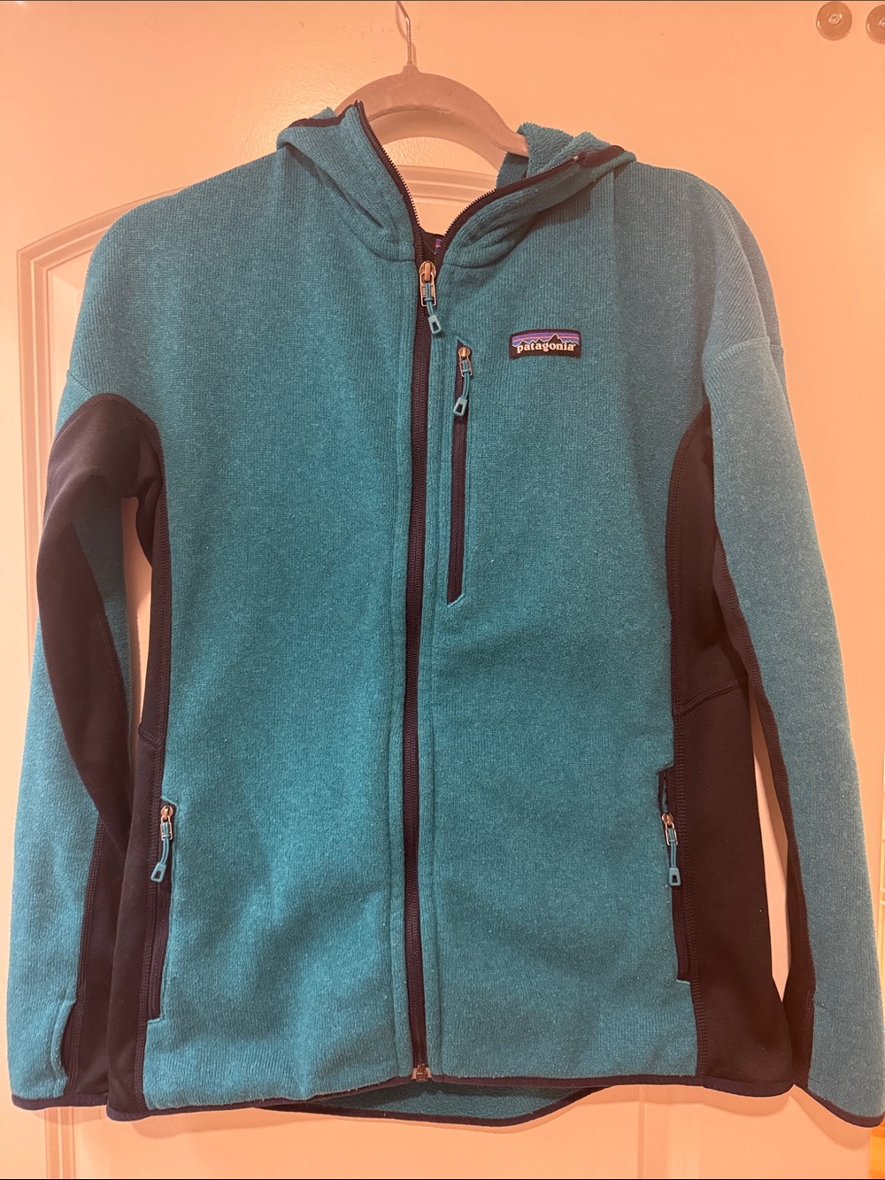 Patagonia Teal and Navy Hooded Better Sweater Jacket, Size L, Ladies